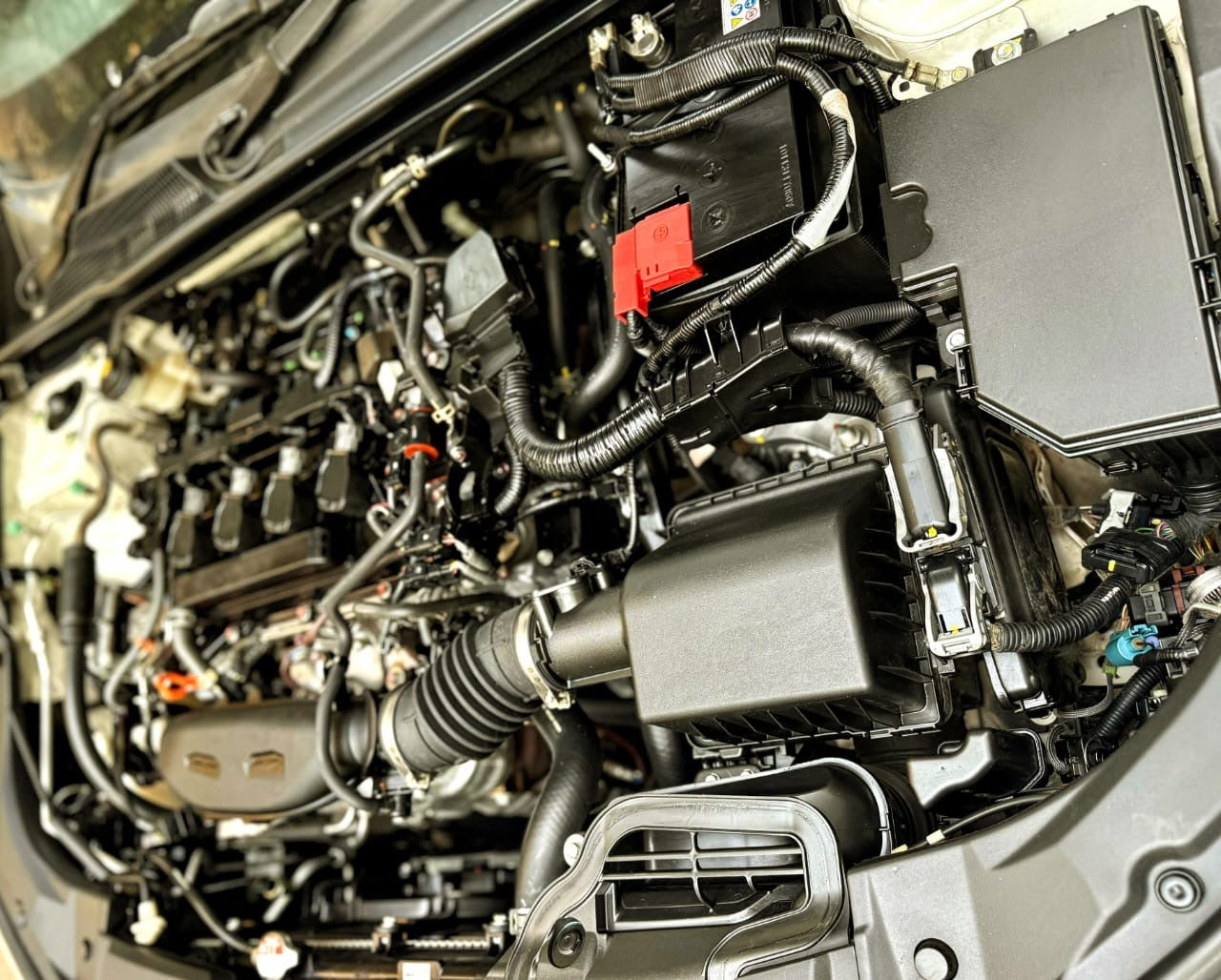 CIVIC RS TURBO 
model & registration 2023